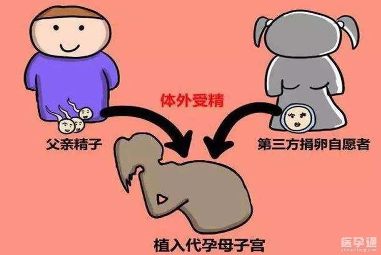 供卵方可以要回孩子吗(供卵方是否有权要回孩子？)