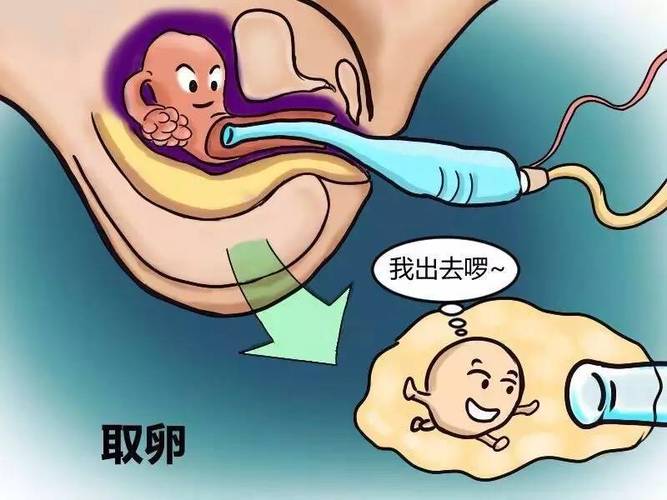 供卵代生孩子-代孕中心:供卵代生孩子的新选择